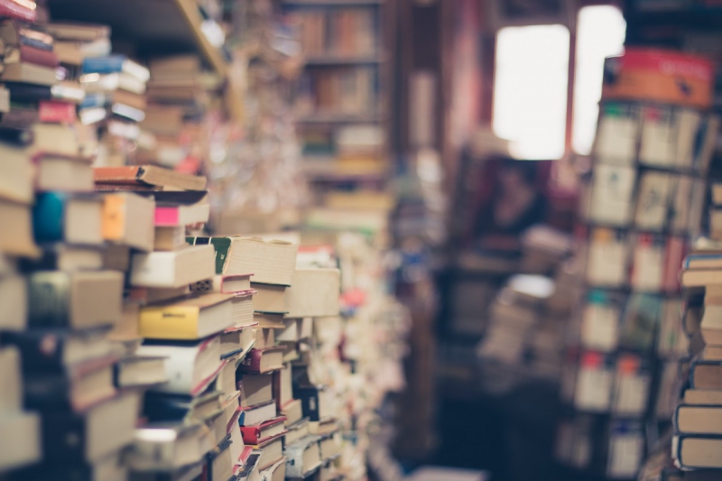 boutique-LA MOTTE-min_books_stack_book_store_stack_of_books_2nd_hand_retro_hipster_shop-829090